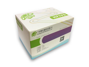 2×HF RT-qPCR 预混液 (探针法)