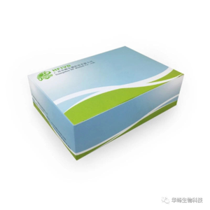 铜绿假单胞菌核酸检测试剂盒（冻干型）