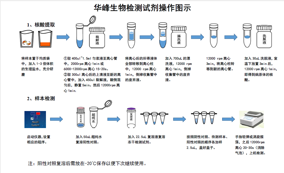 核酸试纸怎么用图片